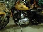 T bike2.jpe